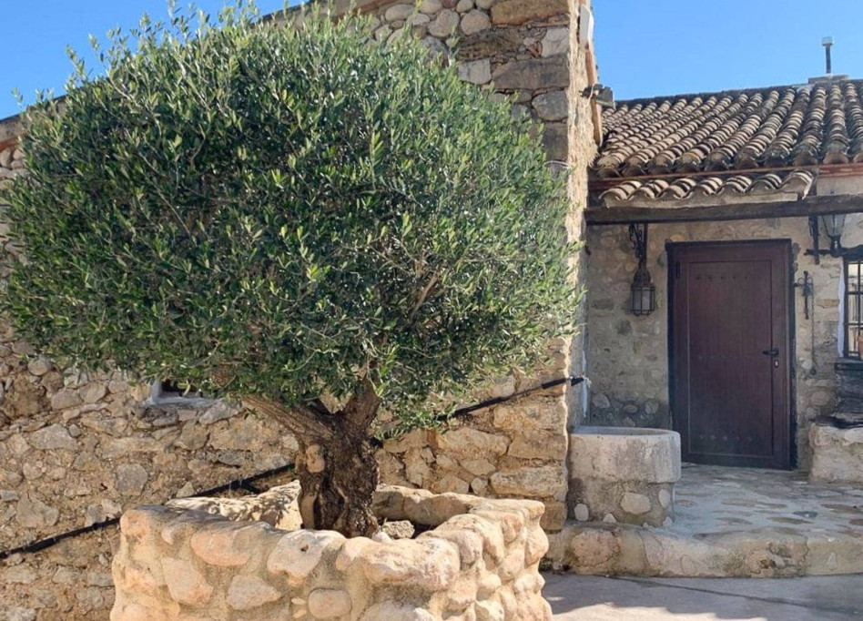 Reventa - Country House / Finca - Jalón