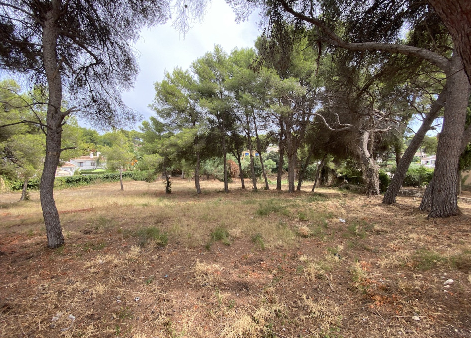 Reventa - Parcela/Terreno - Javea - Jávea