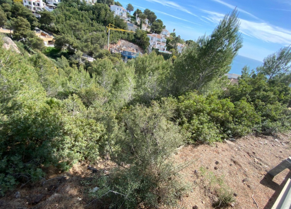 Reventa - Parcela/Terreno - Javea - Jávea