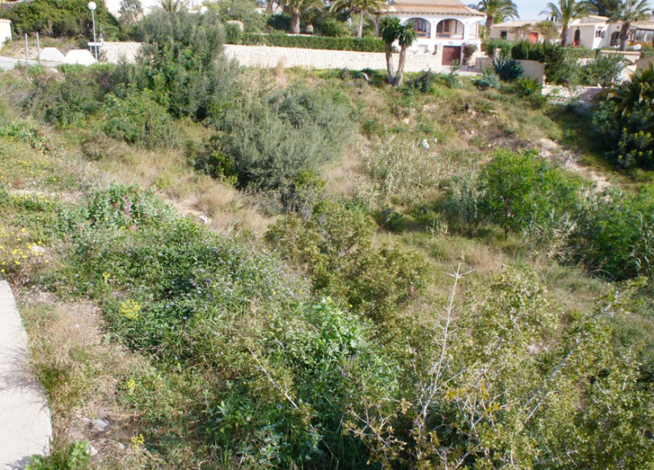 Resale - Plot - Benitachell - Girasoles