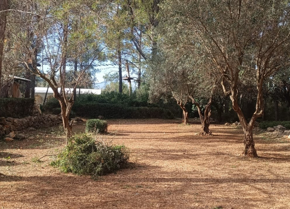 Reventa - Country House / Finca - Parcent